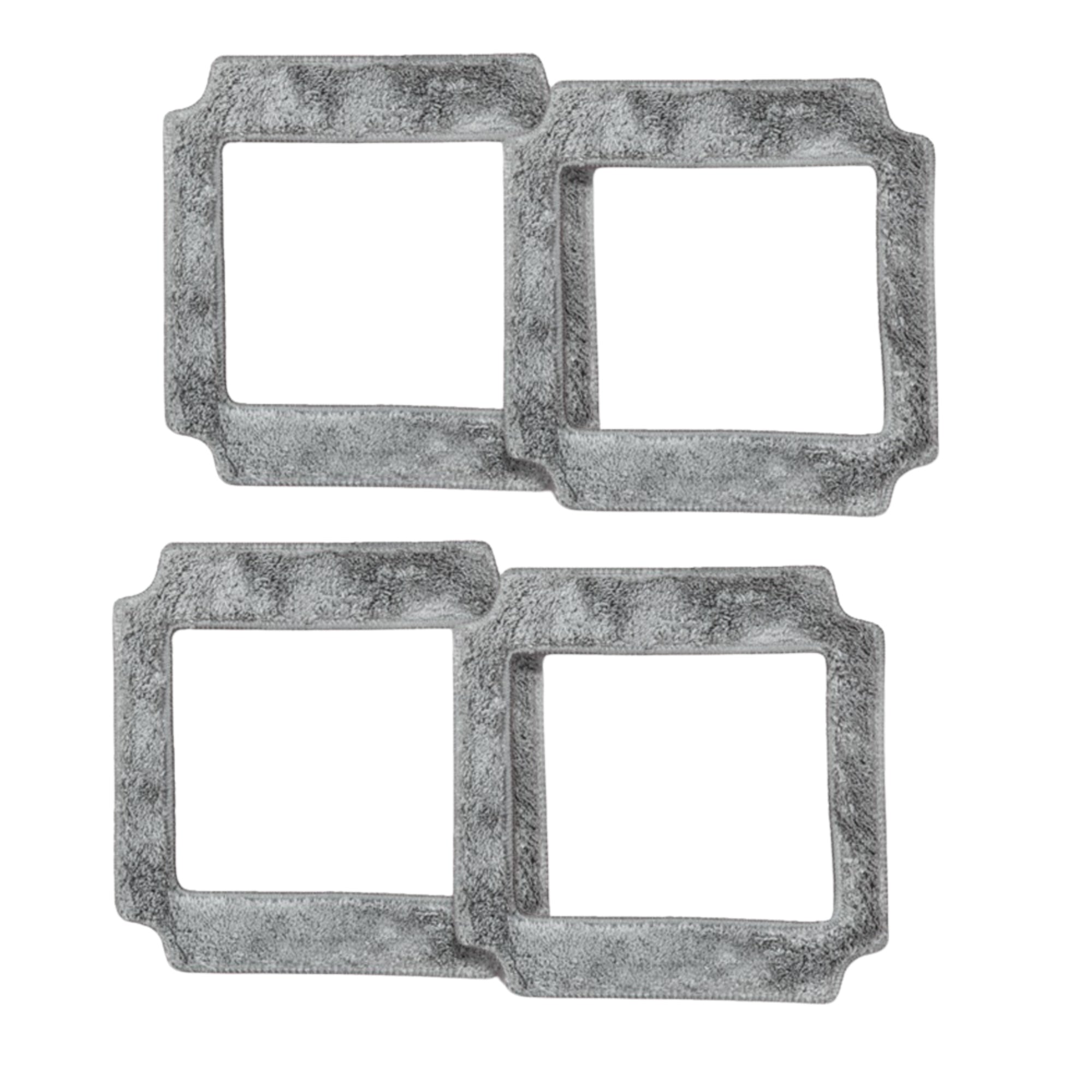 Microfiber cloths SCR2-01
